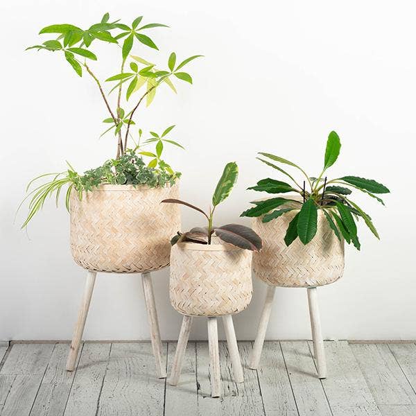 Bamboo Planters