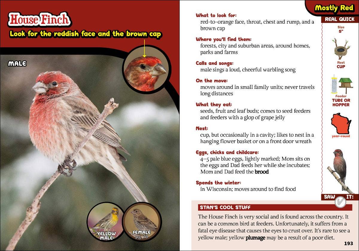 Kids' Guide to Birds of Wisconsin