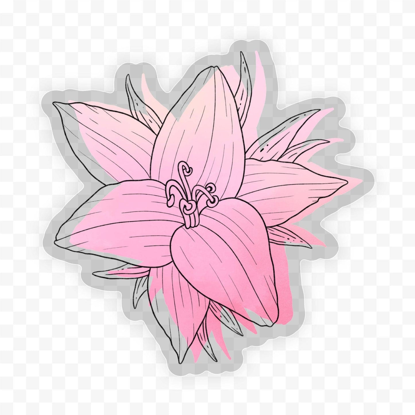 Belladonna Watercolor - Botanical Clear Sticker