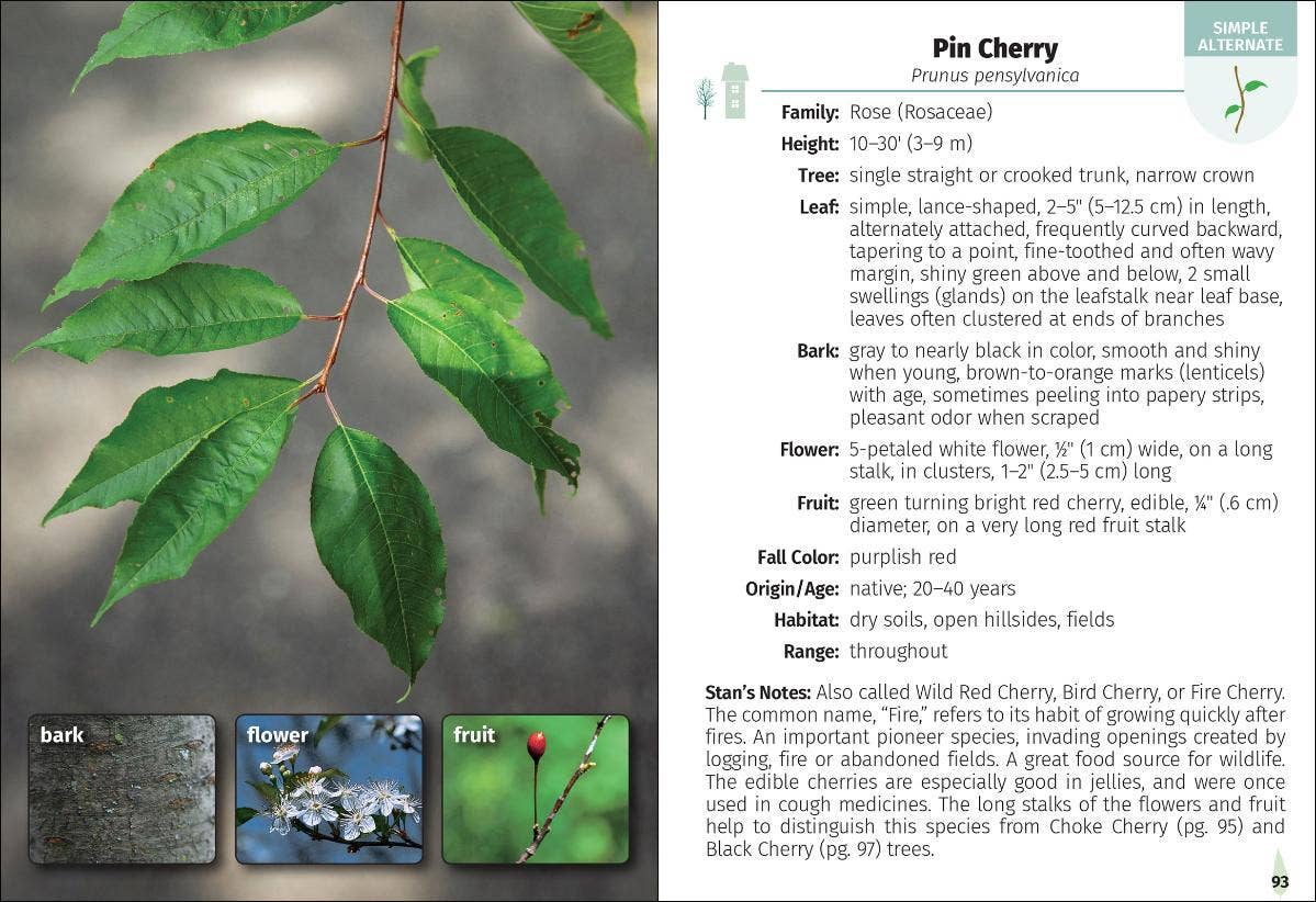 Trees of Wisconsin Field Guide 2e