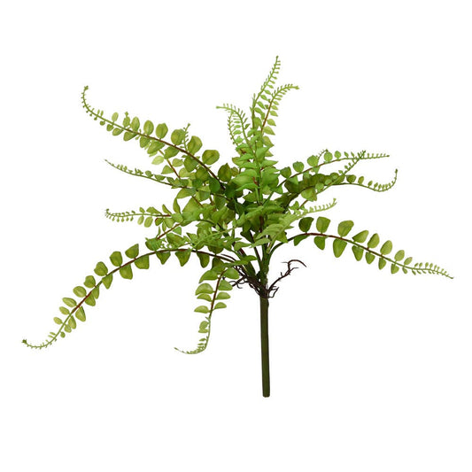 Fern Spray