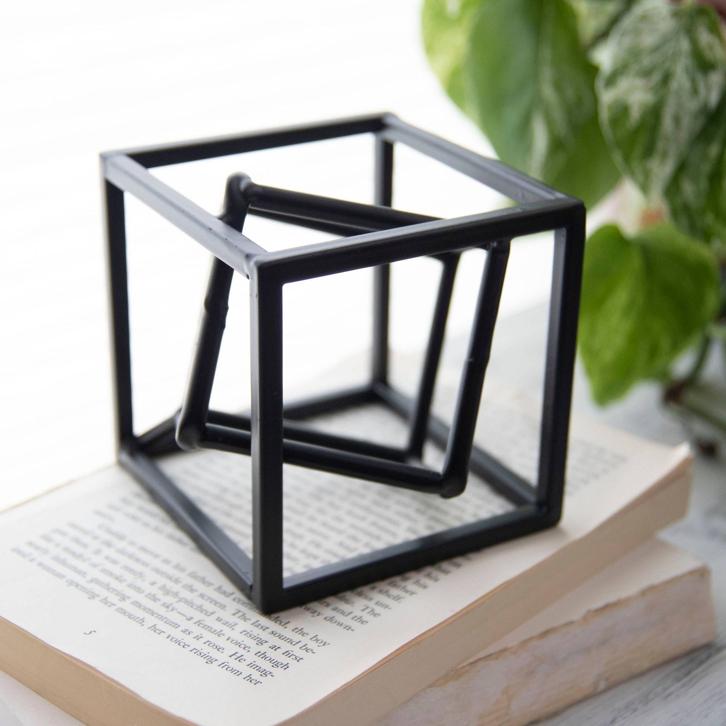 Dual Cube Decorative Accent